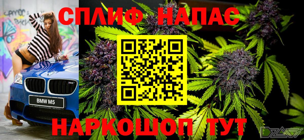 Конопля сатива Ирбит